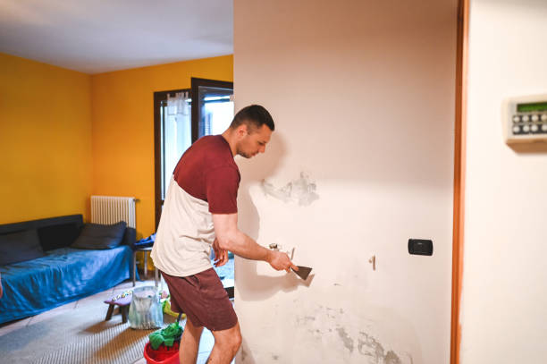  Central Garage, VA Mold Removal Pros